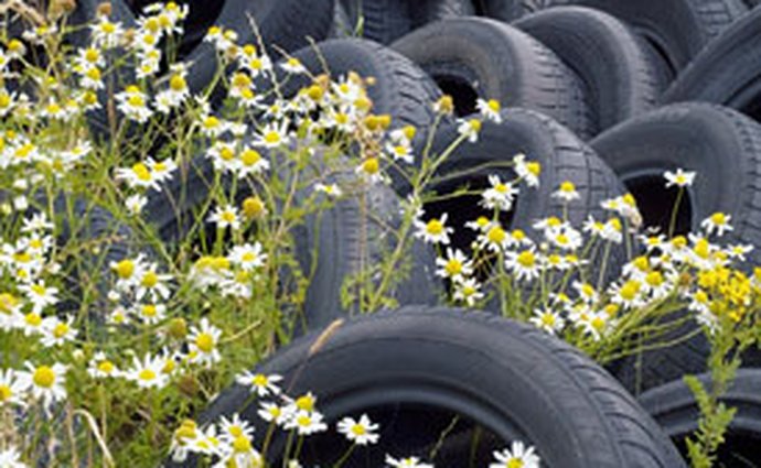 Poslanci navrhují zákaz letních pneumatik