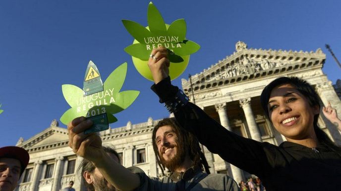 Po finálním podpisu prezidenta Mujici již nebude v Uruguayi nelegální marihuanu pěstovat, užívat ani prodávat (10. prosince 2013)