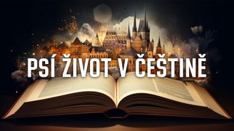 Po stopách češtiny: Pes a jeho interpretace v&nbsp;jazyce. Jak mluvíme o nejlepším příteli člověka?