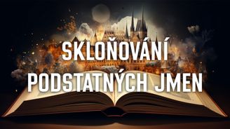 Kvíz: Skloňování podstatných jmen aneb Umíte ohnout podstatné jméno tak, aby bylo spisovné?