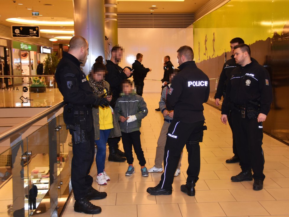 Rvačka dětí se odehrála mezi lidmi přímo ve vestibulu nákupního centra Plaza.