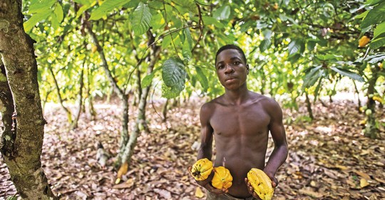 Čokoláda z dětských rukou aneb Život na kakaových plantážích v Pobřeží slonoviny