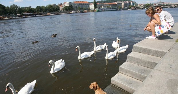 Příští dva týdny by mělo být kolem 20 °C.