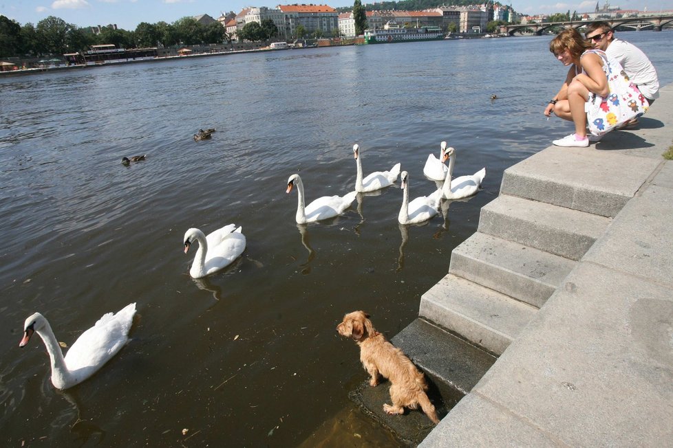 Příští dva týdny by mělo být kolem 20°C.