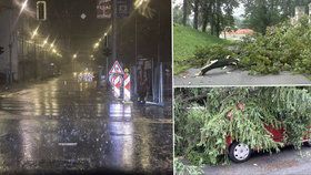 Jih Moravy ničila silná bouřka, která vyvracela stromy a lámala větve. Hasiči měli nahlášený nový případ co deset vteřin.