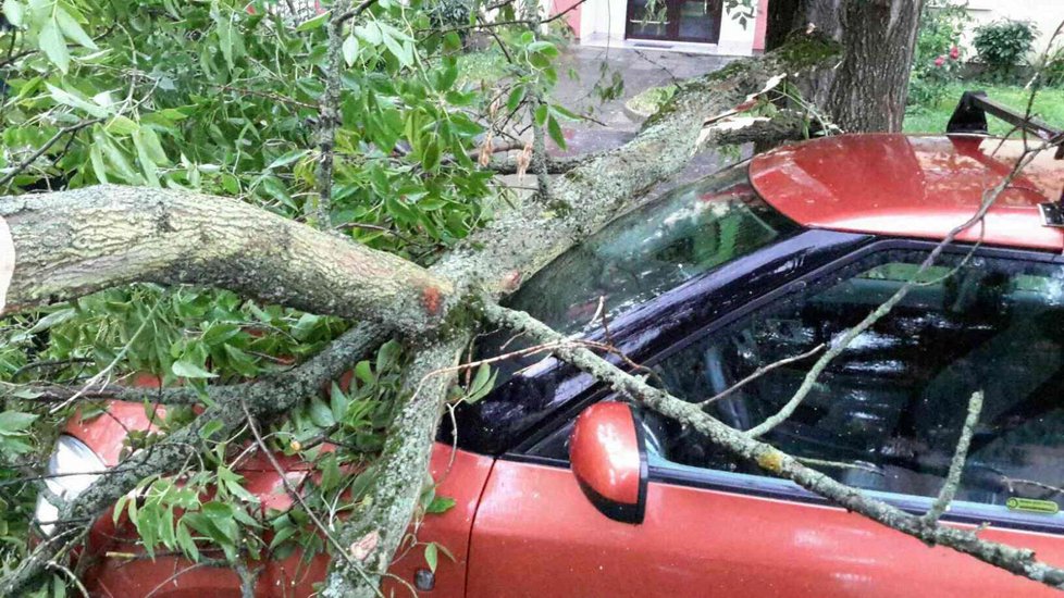 Spadlé stromy, výpadek elektřiny, stojící vlaky: Českem se přehnala bouře