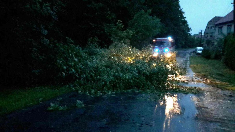 Spadlé stromy, výpadek elektřiny, stojící vlaky: Českem se přehnala bouře