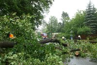 Bouře v Moravskoslezském kraji lámala stromy a strhávala střechy
