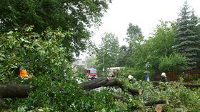 Bouře v Moravskoslezském kraji lámala stromy a strhávala střechy. (ilustrační foto)
