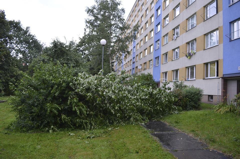 Bouře v Karviné: Silný vítr lámal stromy jako sirky