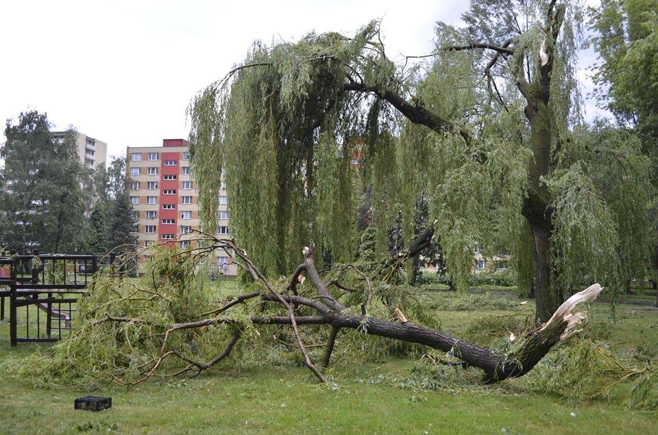 Bouře v Karviné: Silný vítr lámal stromy jako sirky