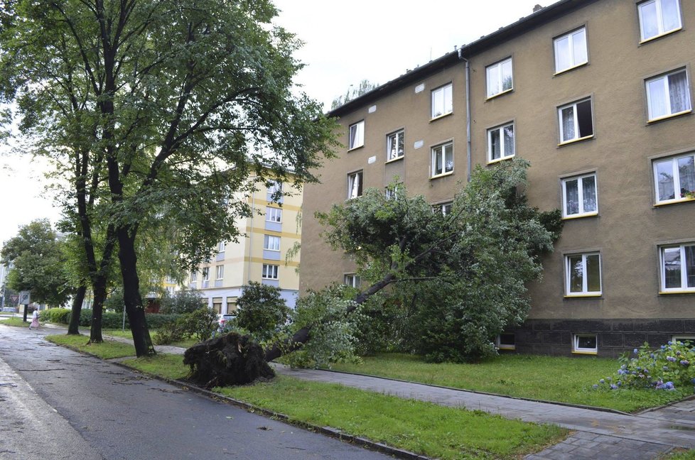 Bouře v Karviné: Silný vítr lámal stromy jako sirky