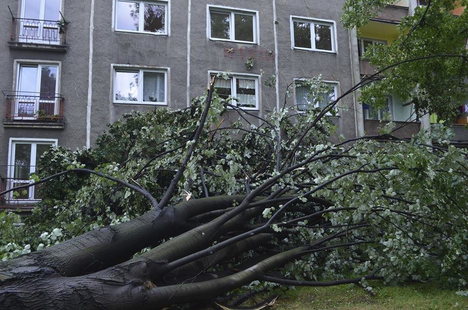 Bouřky způsobily škody za stovky milionů korun.