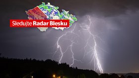 Bouřky v Česku: Muže v Liberci zabil strom. Další velmi silné přijdou, sledujte radar Blesku
