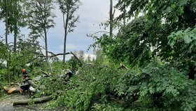 Při bouřce 8. července 2021 u Čížové na Písecku spadl strom na osobní auto a zabil dva lidi. Nehodu nepřežili muž a žena, kteří seděli na předních sedadlech. V autě byly i dvě děti, které utrpěly zranění.