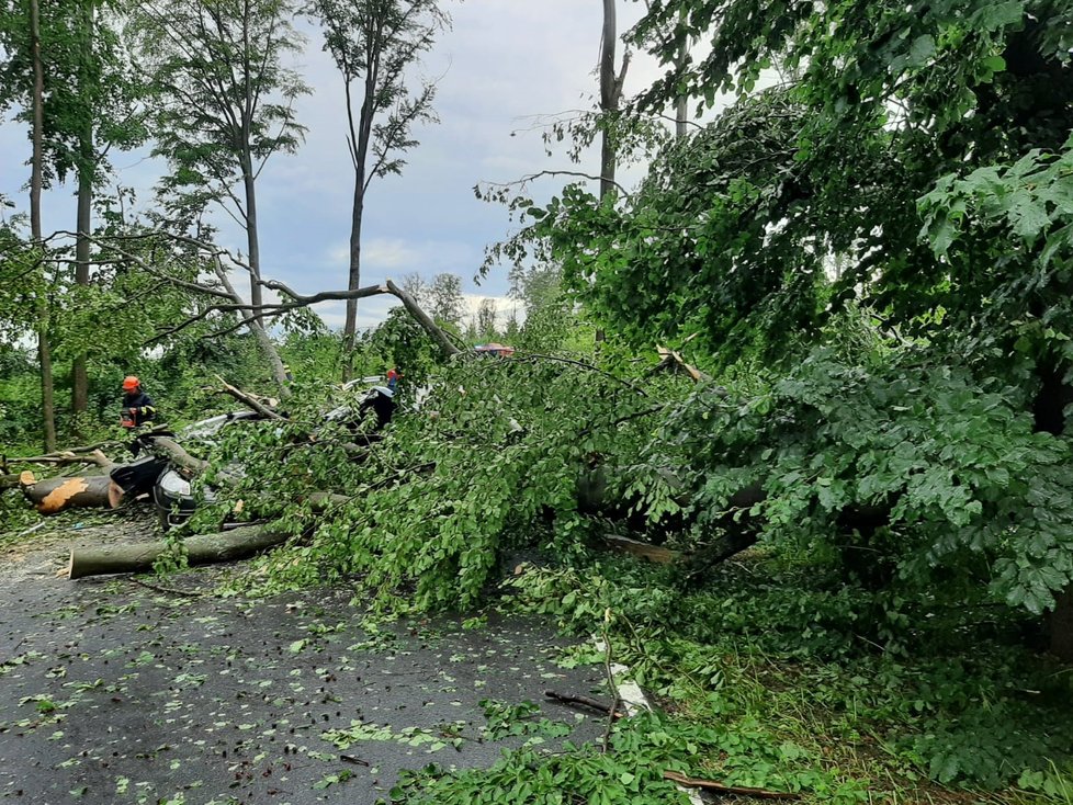 Při bouřce 8. července 2021 u Čížové na Písecku spadl strom na osobní auto a zabil dva lidi. Nehodu nepřežili muž a žena, kteří seděli na předních sedadlech. V autě byly i dvě děti, které utrpěly zranění.