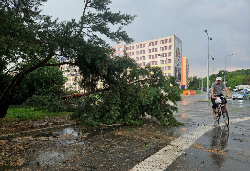 Následky bouřek v Praze. (16.8.2023)