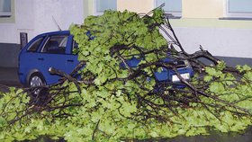 Prudký vítr lámal stromy. V Metodějově ulici v Brně spadly na zaparkovanou fabii.