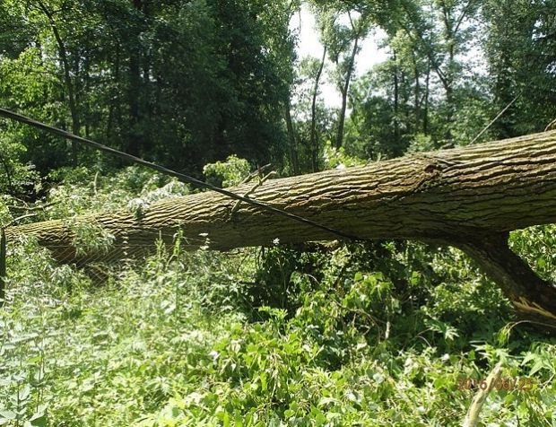 V Žeravicích v chatové oblasti spadl strom na chatku a přetrhal dráty elektrického vedení.