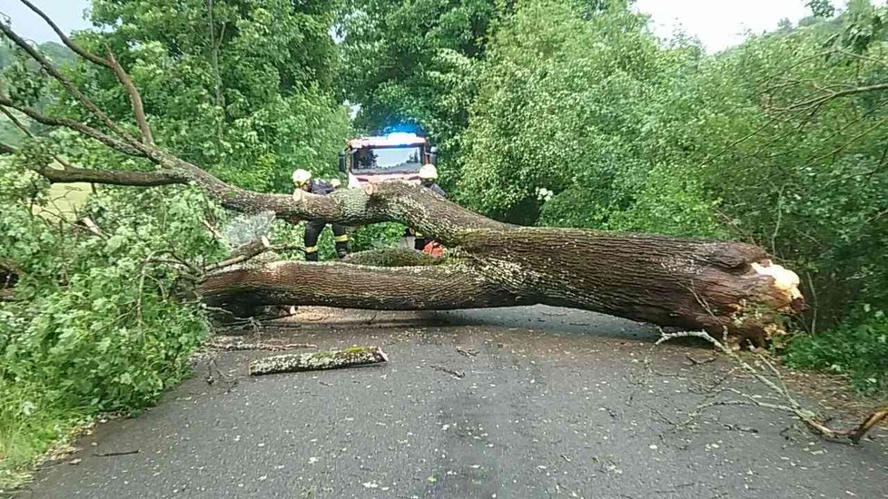 Obrovské škody napáchaly bouřky na jižní Moravě.