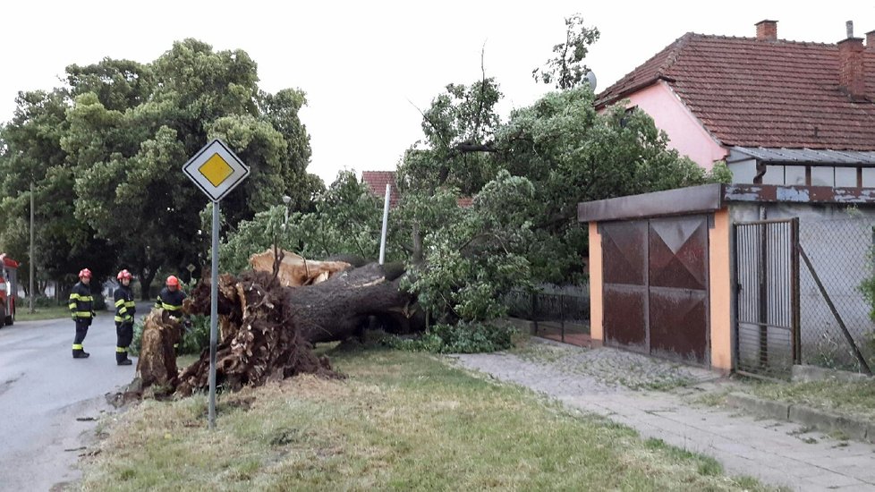 Obrovské škody napáchaly bouřky na jižní Moravě.