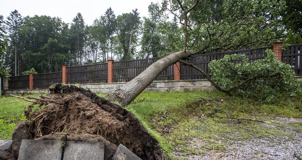 Řádění bouřek v Královéhradeckém kraji, hasiči museli zasahovat v dětském táboře u Nemojova na Trutnovsku (15.7.2021)