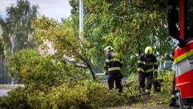 Hasiči odklízejí ze silnice polámané větve stromu po bouřce, 17. srpna 2026, Praha-Zbraslav.