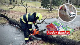 Vichřice v ČR: Vlak narazil do stromu a zpřísněná výstraha. Sledujte radar Blesku