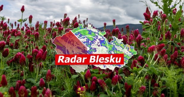 V Česku se ochladí, pak se ale rapidně oteplí.