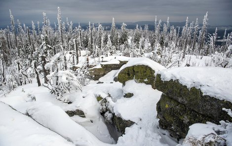 Přestože je Šumava bílá, sněhu na vrcholech leží méně než dříve.