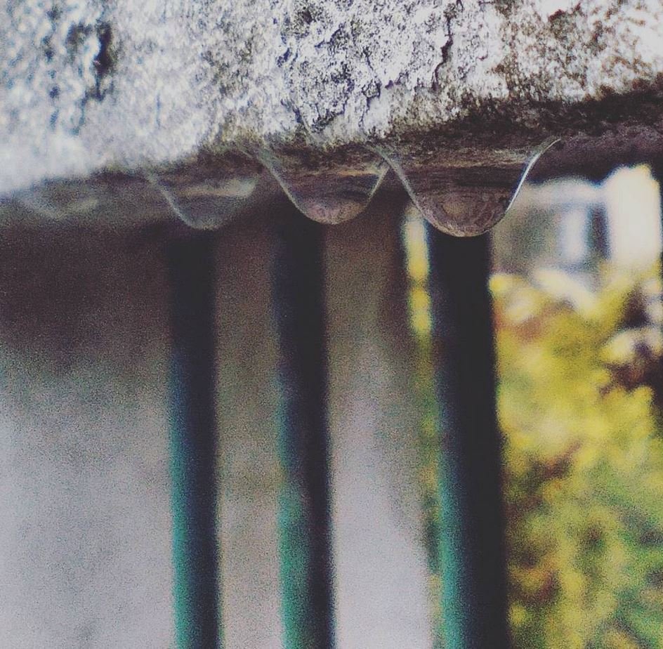 Už od pondělí očekávají meteorologové vydatný a místy i trvalejší déšť.