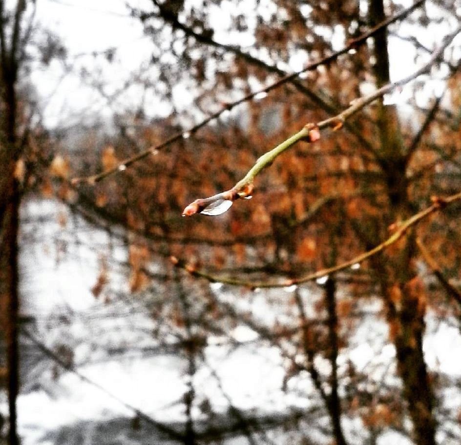 Už od pondělí očekávají meteorologové vydatný a místy i trvalejší déšť.