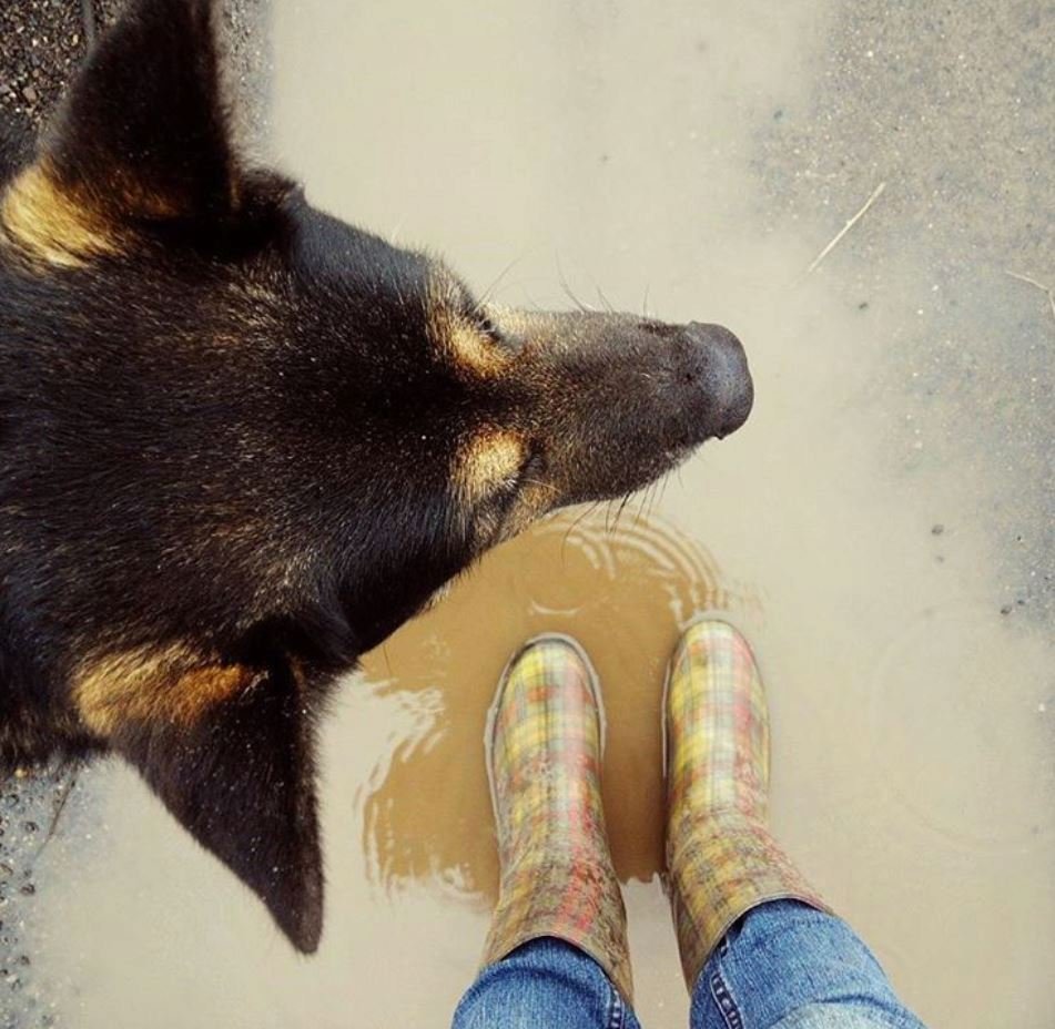 Letošní vrtkavá zima očima Čechů na Instagramu