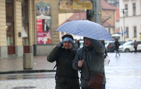 Deštník se nám v nejbližších dnech bude hodit.