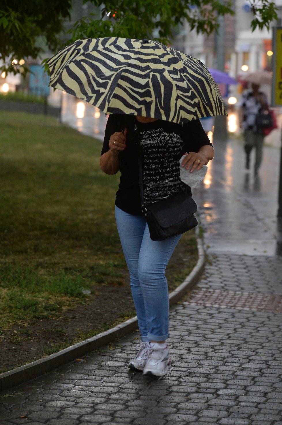 V Česku řádí přívalové deště a bouřky