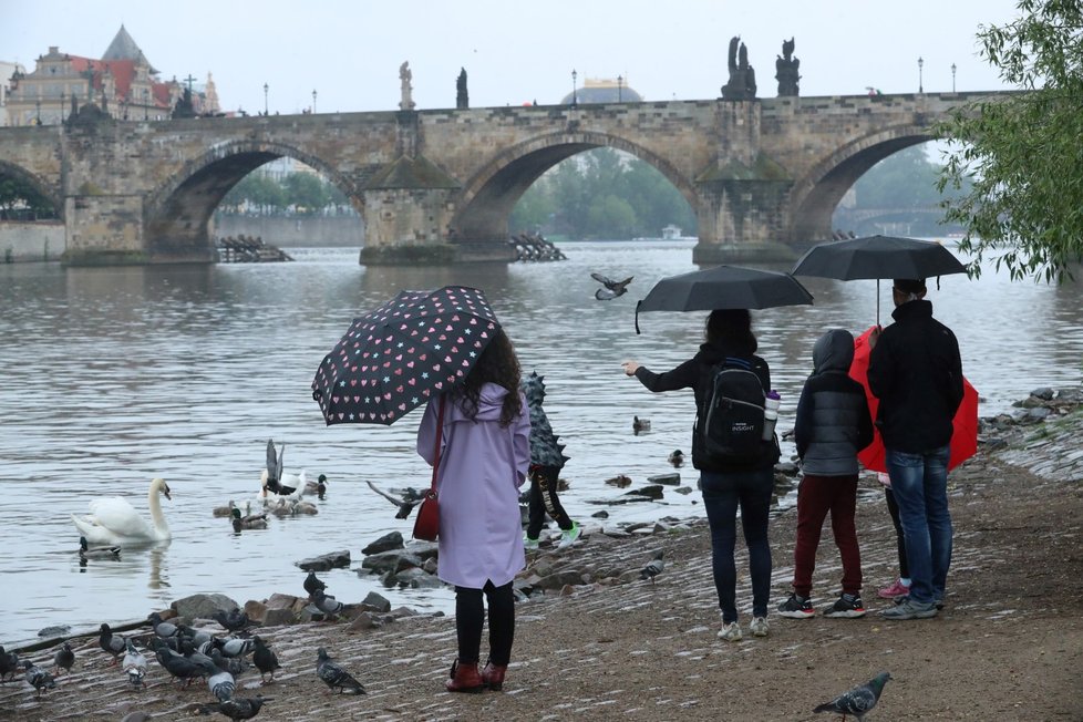 Předpovědi se naplnily, hladiny řek se zvedly kvůli vydatnému dešti. Sledujte radar Blesku