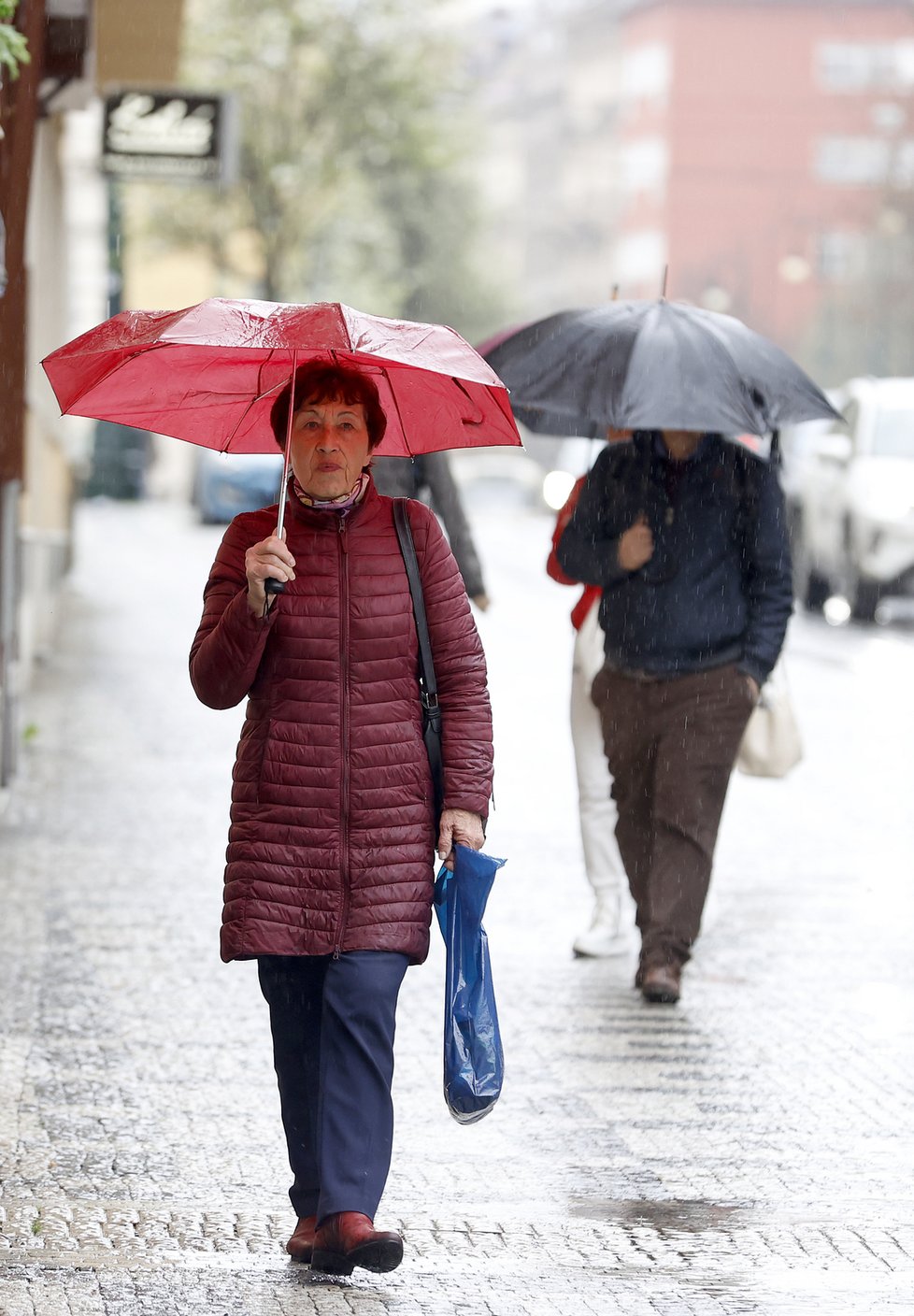 Deštivé jaro v Česku