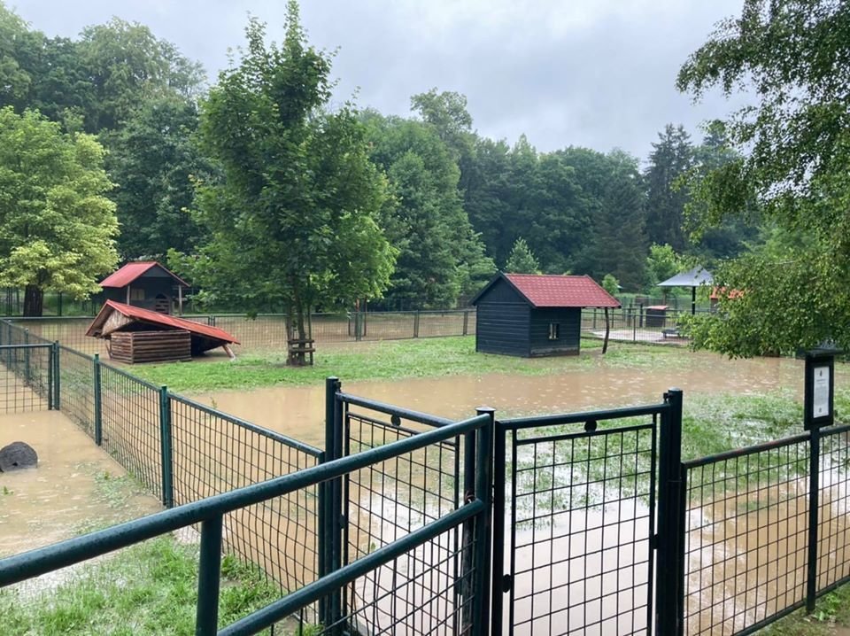 Lijáky v Česku: Zatopená minizoo na Zámku Častolovice (19. 6. 2020)