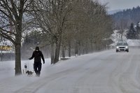 Velká lednová předpověď počasí: Začátkem února přituhne!