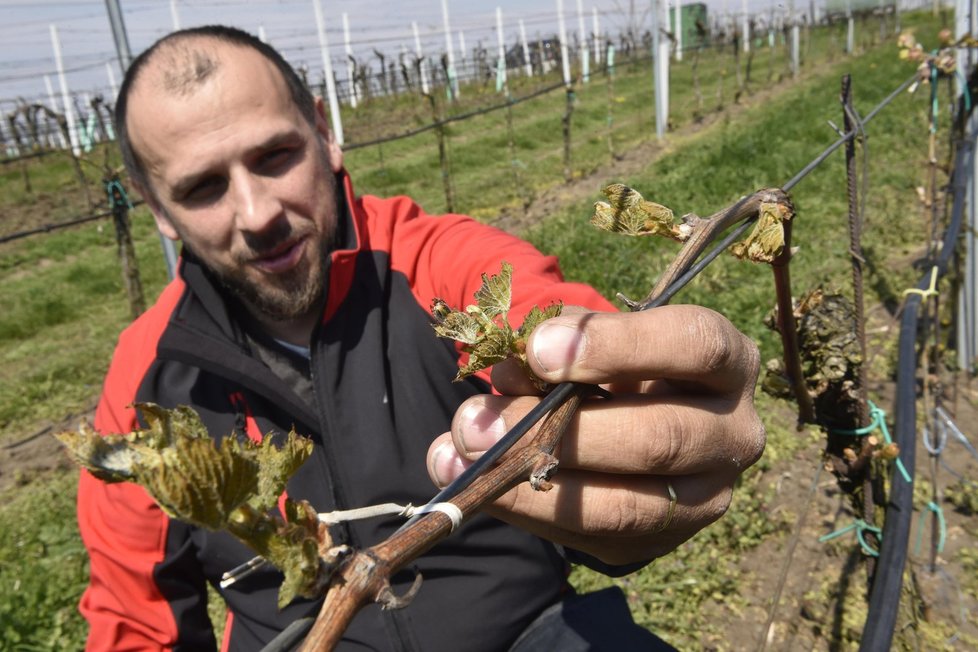 Teplotní rekordy, ale také sníh. Takové bylo letošní jaro v Česku.