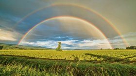 V dešťových kapkách totiž obyčejně dochází k odrazům slunečních paprsků. Když je ale odrazů více, vzniká duha dvojitá.