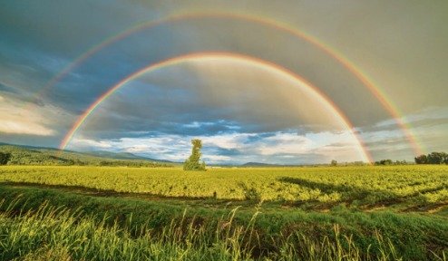 V dešťových kapkách totiž obyčejně dochází k odrazům slunečních paprsků. Když je ale odrazů více, vzniká duha dvojitá.