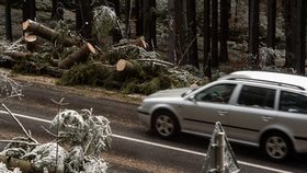 Jihomoravští hasiči 4. února 2020 od 8:15 zhruba do 11:00 vyjeli k sedmi desítkám událostí v souvislosti se silným větrem, především ke spadlým stromům. Stromy spadly i na auta, zatím ale nebyl nikdo zraněn. ČTK to řekl mluvčí hasičů Jaroslav Mikoška. Bez elektřiny je na Břeclavsku kvůli popadaným stromům asi 6200 domácností.