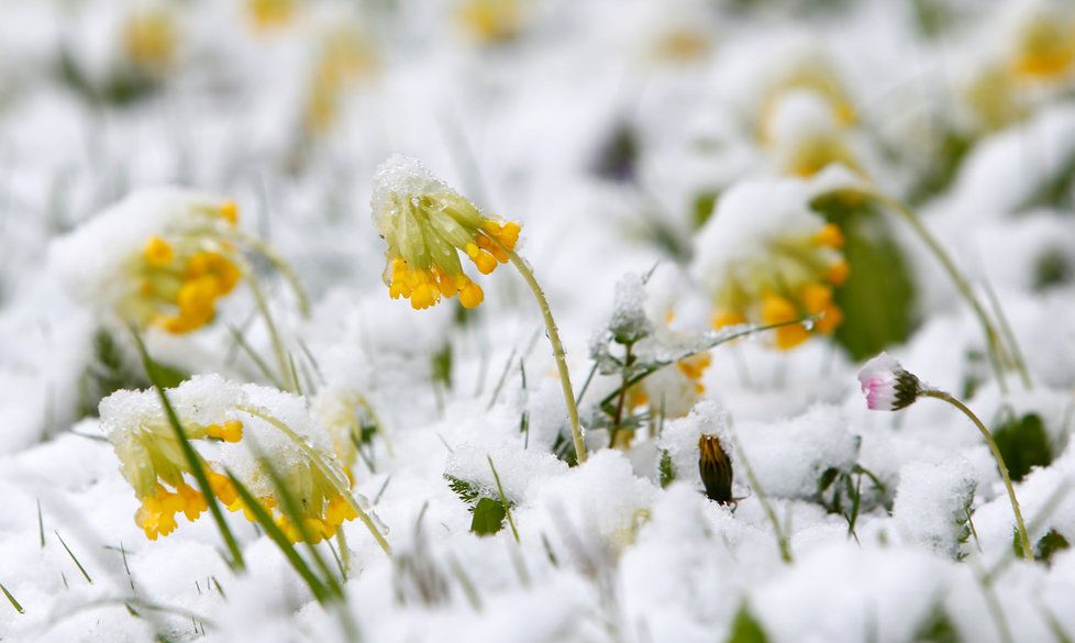 Meteorologové předvídají nadprůměrné teploty.