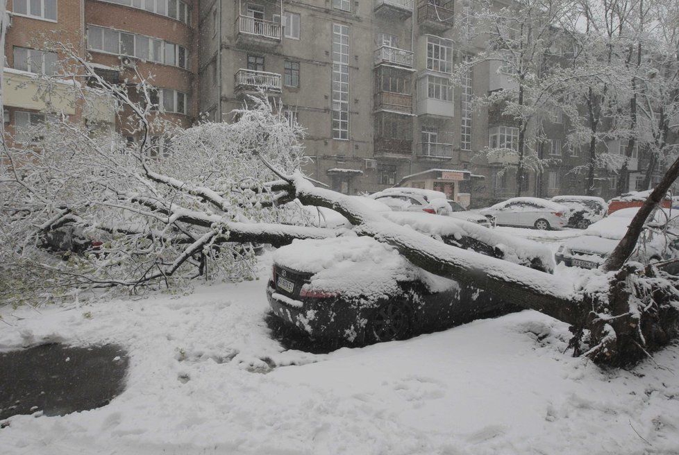 Počasí o víkendu nebude vlídné. Ve vyšších polohách bude sněžit a všude jinde mrholit nebo pršet.