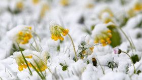 Zimní počasí zaskočilo Evropu: Sníh některá místa odřízl od světa.