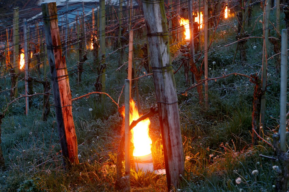 Takhle ve Švýcarsku topí vinicím.