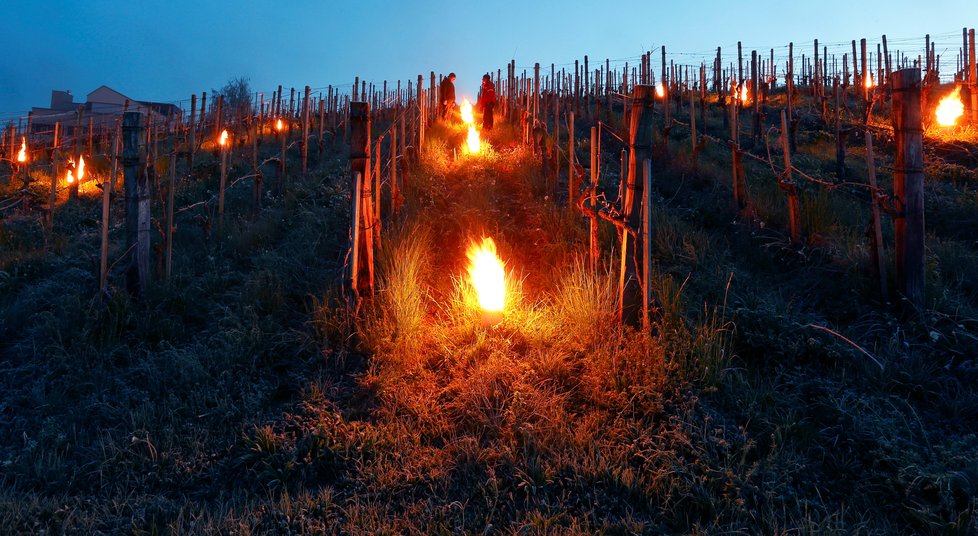 Zimní počasí zaskočilo Evropu: Takhle Švýcaři zatopili vinicím.