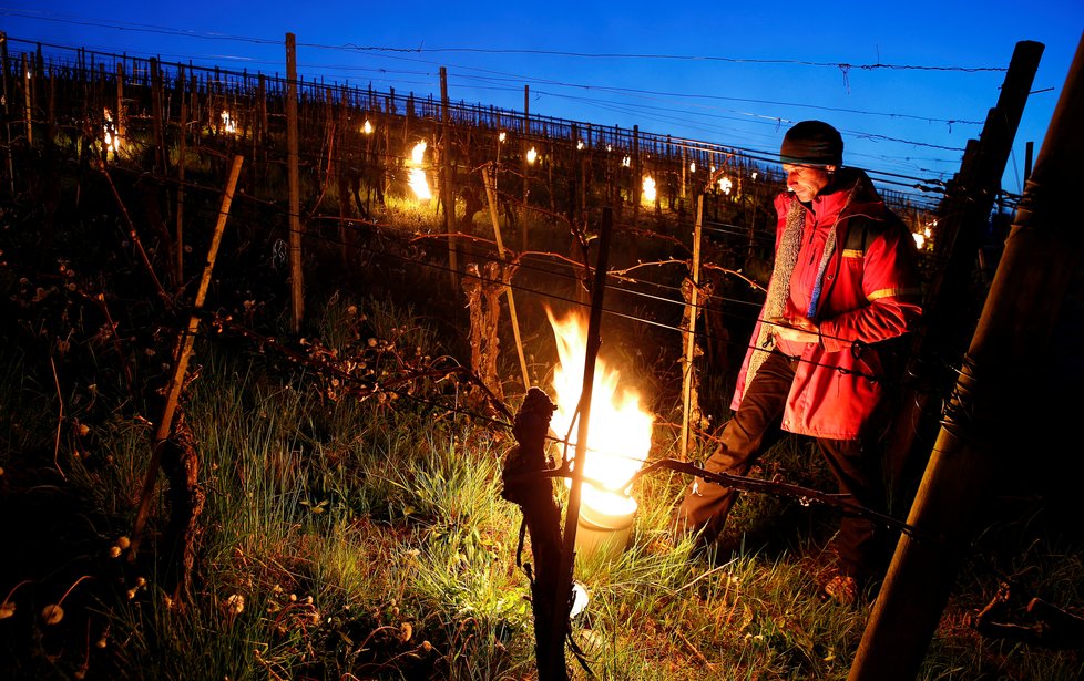 Zimní počasí zaskočilo Evropu: Takhle Švýcaři zatopili vinicím.