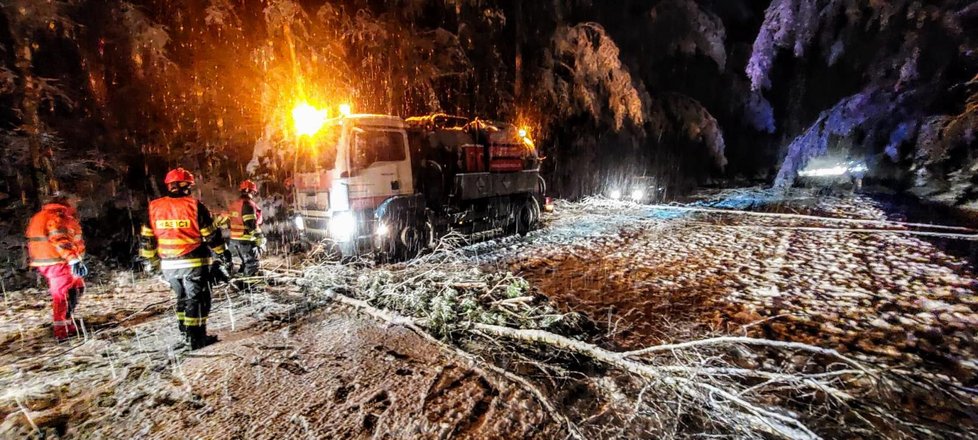 Hasiči odstraňují spadlý strom na zasněžené vozovce v Plané na Lužnicí (6.12.2022)